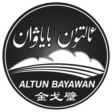 金戈壁 altun  em>bayawan /em>