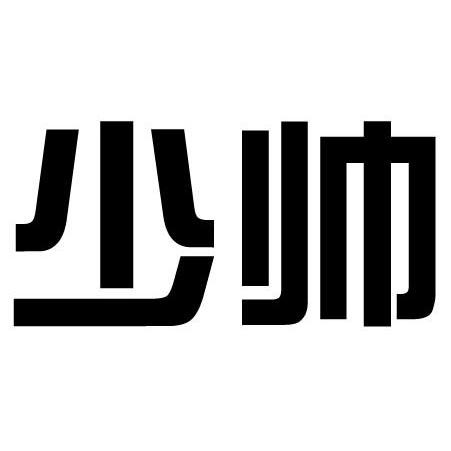  em>少帅 /em>