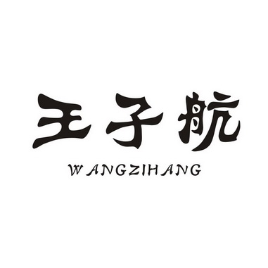  em>王子航 /em>