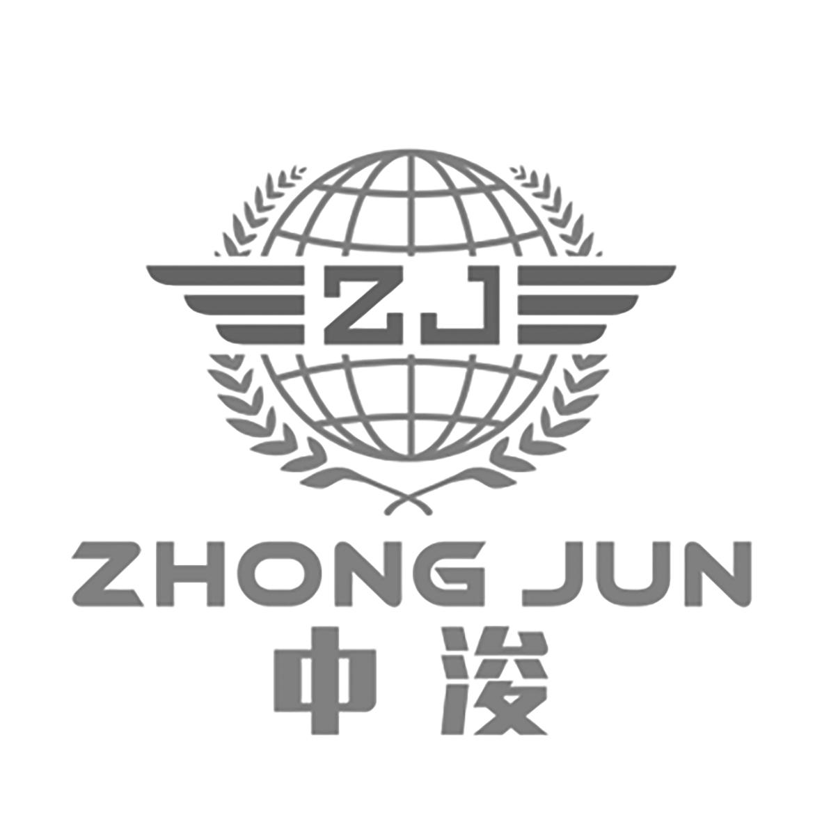 中俊zj 企业商标大全 商标信息查询 爱企查