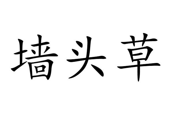  em>墙头草 /em>