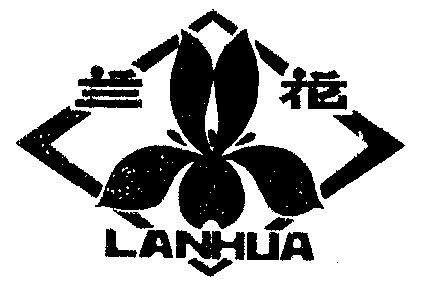 兰花