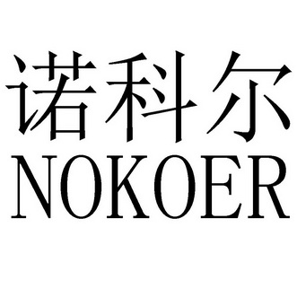 em>诺科尔/em nokoer