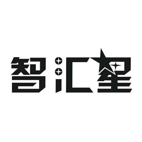 智汇星其他