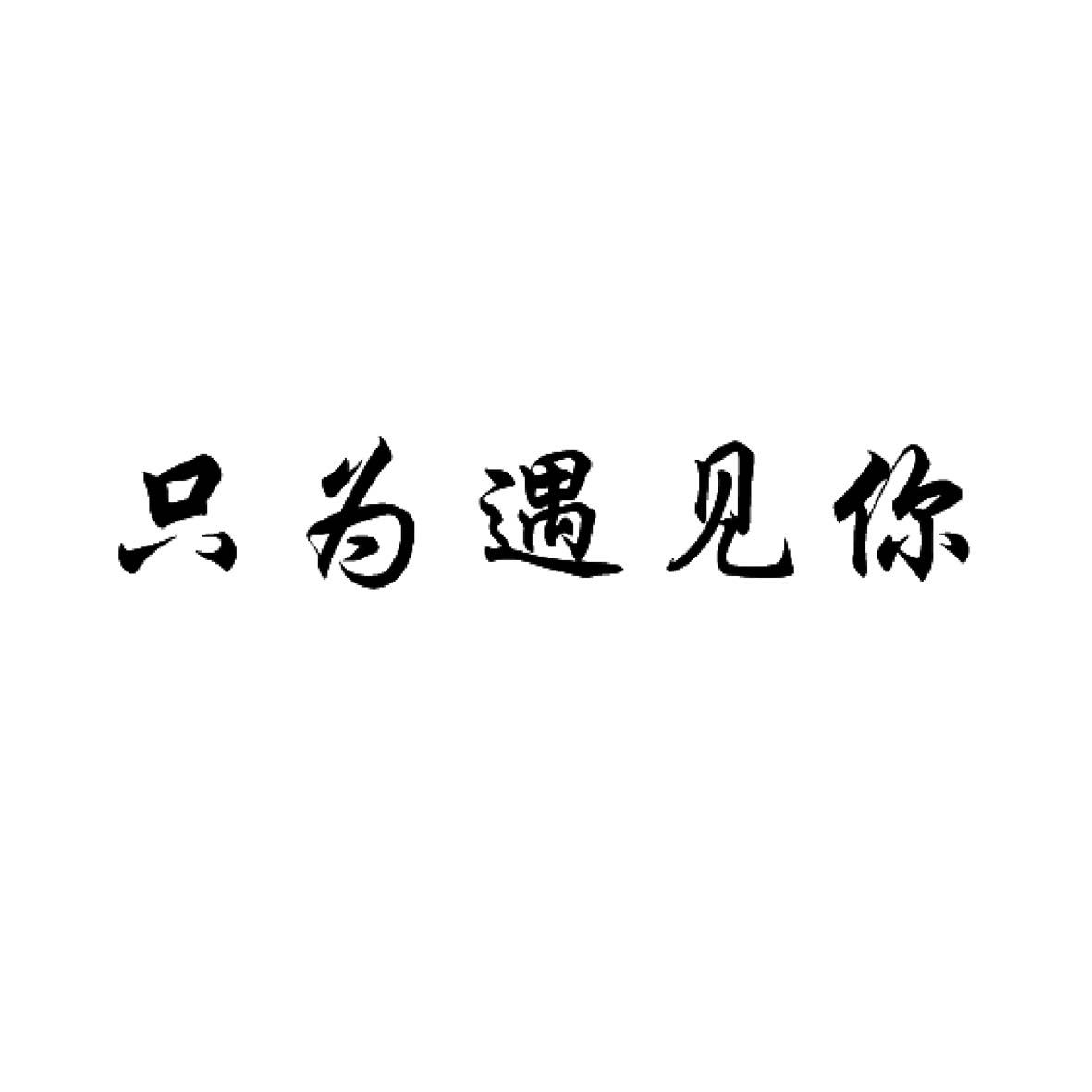 只为遇见你                                