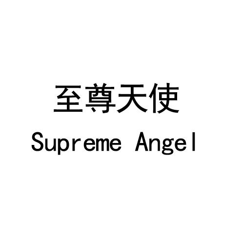 至尊天使  em>supreme /em>  em>angel /em>
