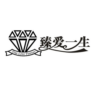臻爱一生 true love forever                
