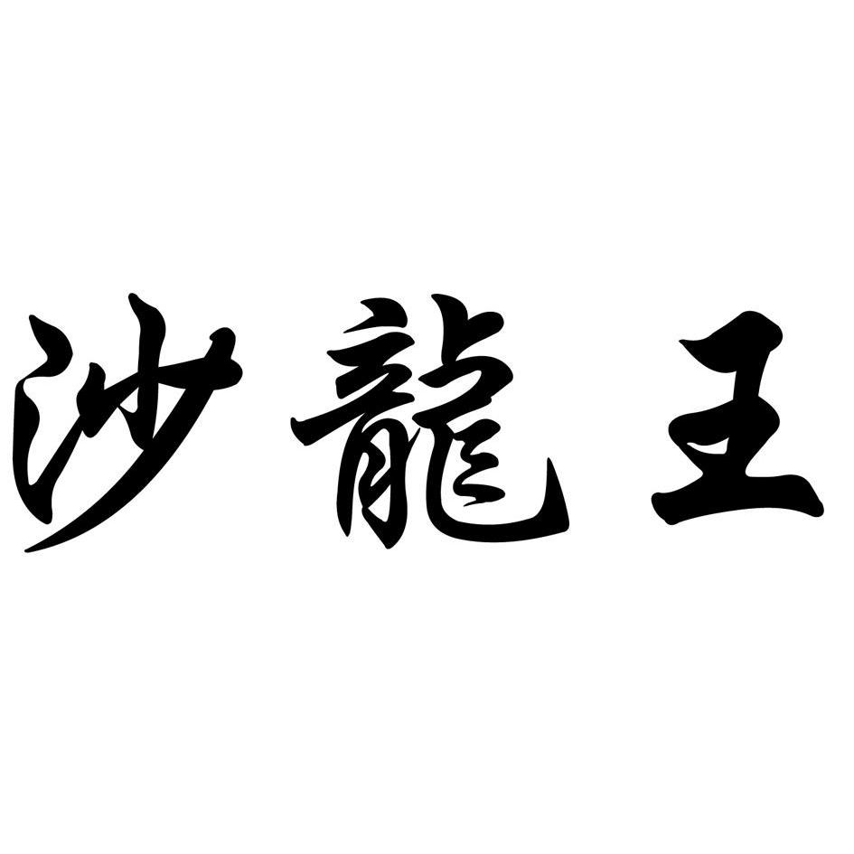 沙龙王                                    