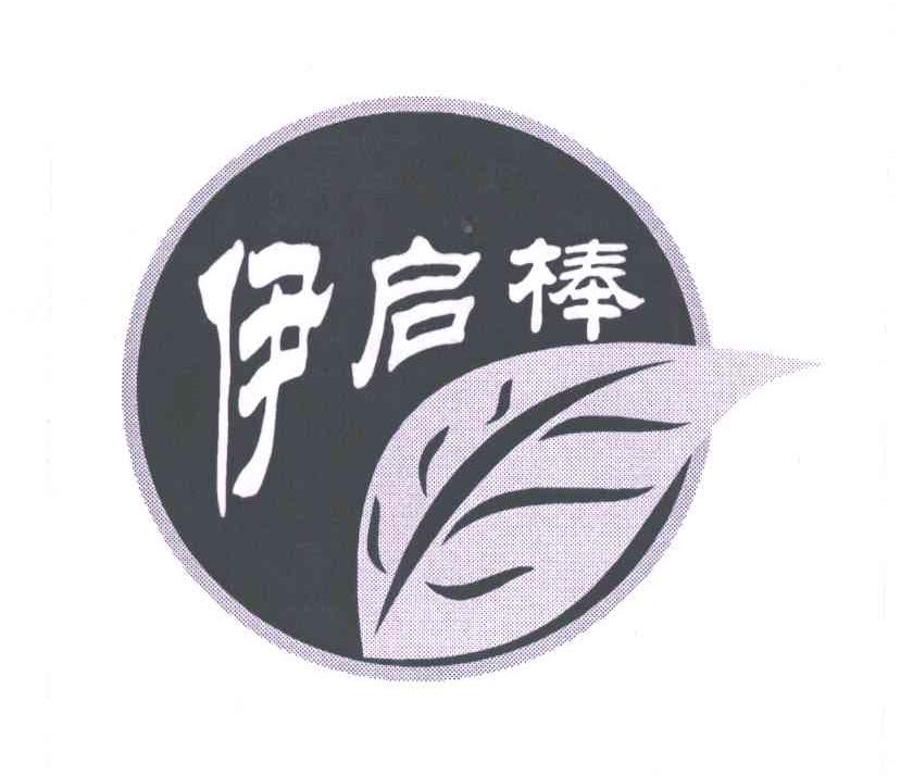 伊启棒