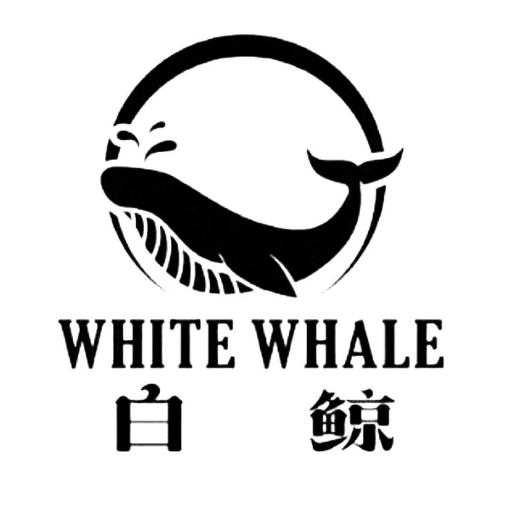  em>白鲸 /em>  em>white /em>  em>whale /em>