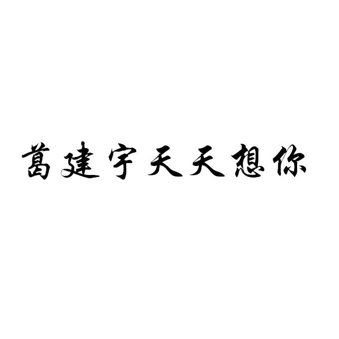 葛建宇天天想你