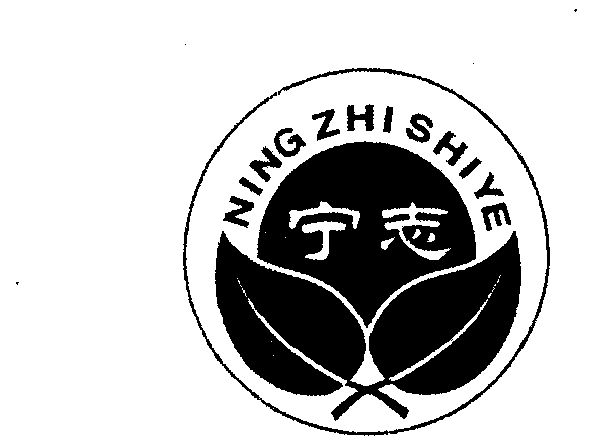 宁志ning zhi shi ye