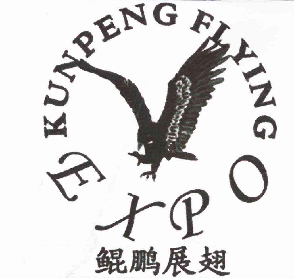  em>鯤鵬展翅 /em> em>kunpeng /em> em>flying /em> em>expo /em>