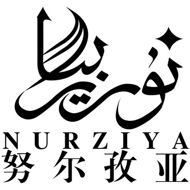 努尔孜亚 nur em>ziya/em>