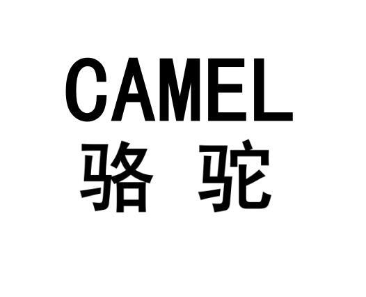  em>camel /em>  em>骆驼 /em>