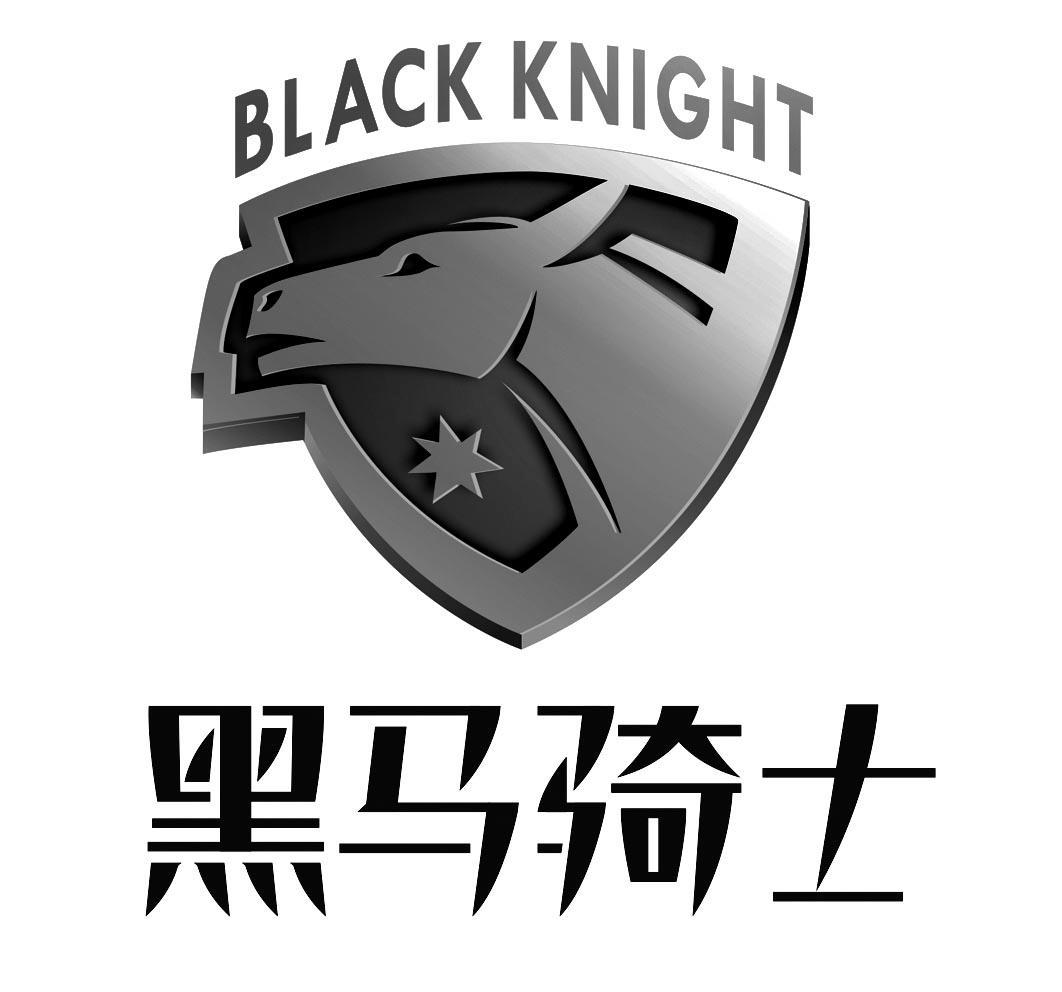  em>黑马 /em> em>骑士 /em>  em>black /em>  em>knight /em>