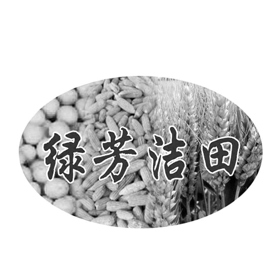em>绿芳/em em>洁田/em>
