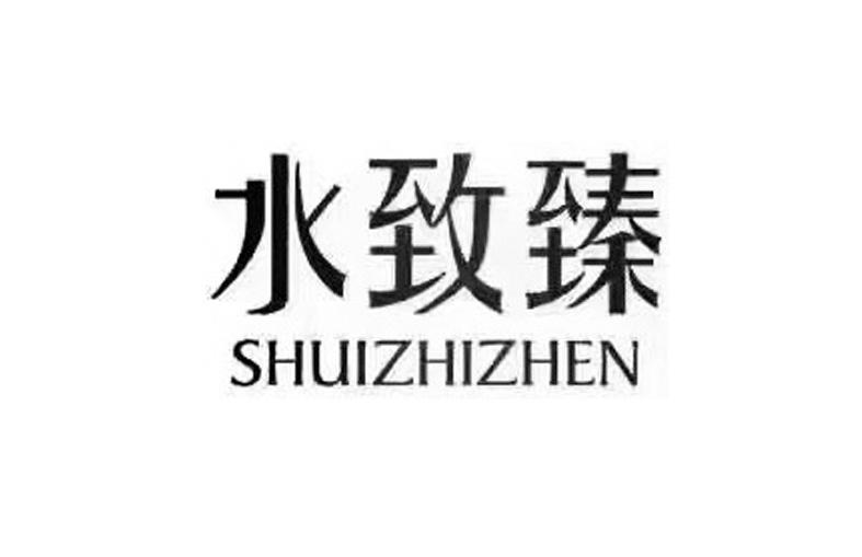 安徽省水致臻体育产业股份有限公司办理/代理机构:芜湖正源商标事务所