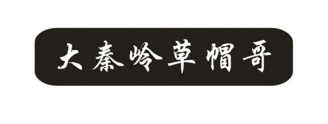 大秦岭 em>草帽 /em> em>哥 /em>