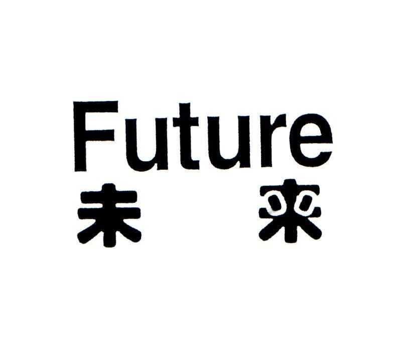  em>未来 /em>  em>future /em>