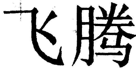飞腾                   