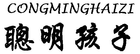 2002-09-19国际分类:第25类-服装鞋帽商标申请人:许丽媚办理/代理机构