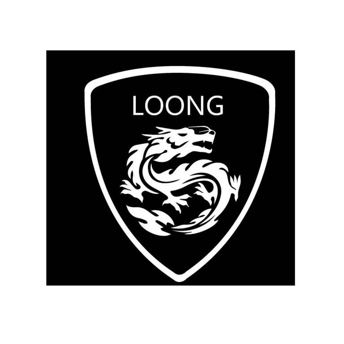 loong教练图片