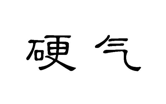 硬氣商標註冊申請申請/註冊號:25628080申請日期:2017