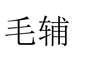  em>毛辅 /em>