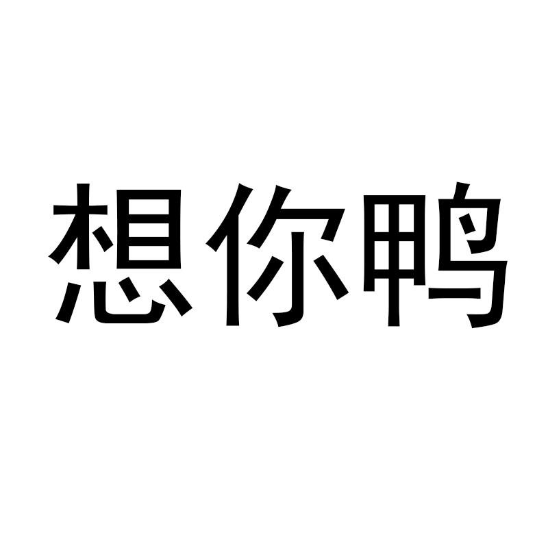  em>想你 /em>鸭