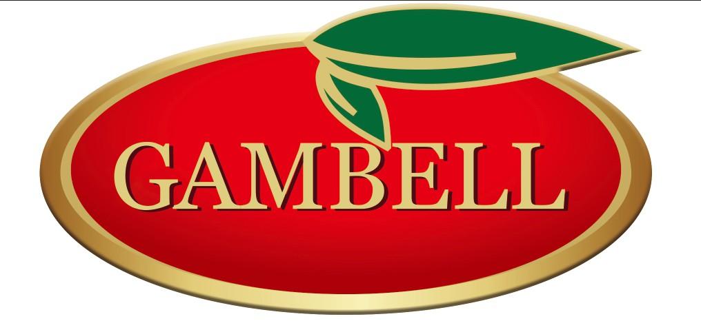 gamil=gamil是谷歌邮箱吗