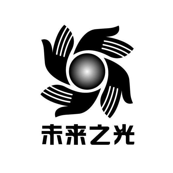  em>未来 /em>之光