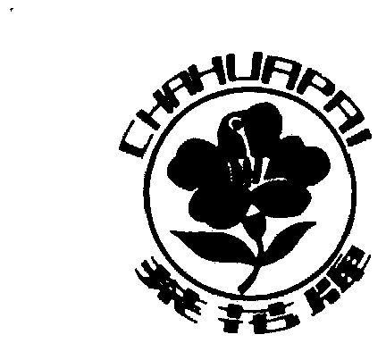 茶花- 商标 - 爱企查