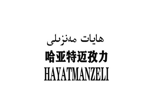 哈亚特迈孜力 hayatmanzeli