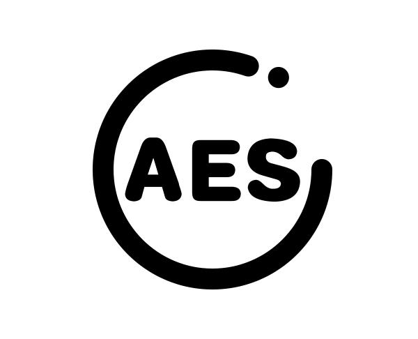 aes                                       