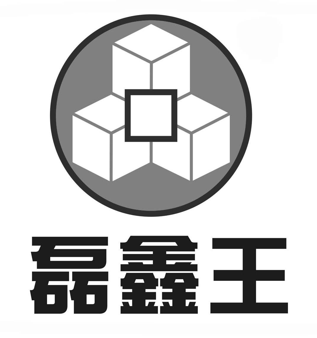  em>磊鑫 /em> em>王 /em>