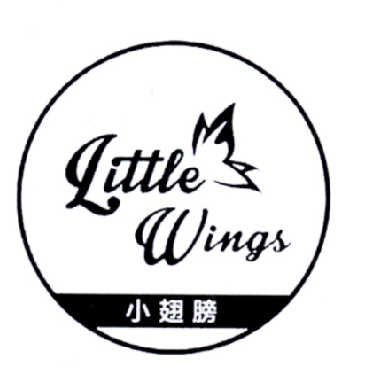 小翅膀 em>little /em>wings