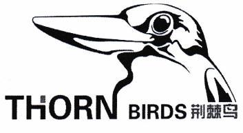  em>荆棘鸟 /em> thorn birds