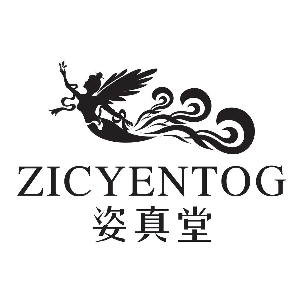 姿真堂 zicyentog