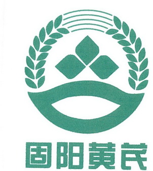  em>固阳 /em> em>黄芪 /em>