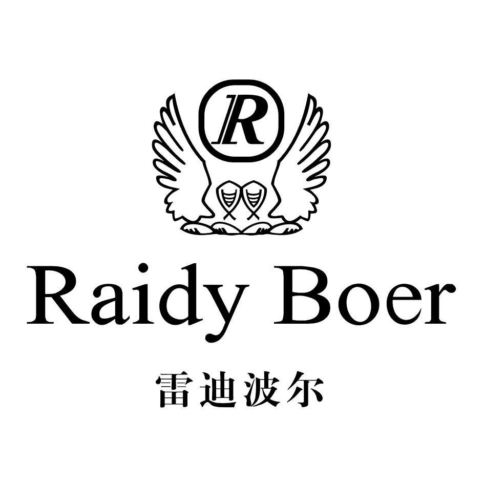  em>雷迪波尔 /em>  em>raidy /em> boer r