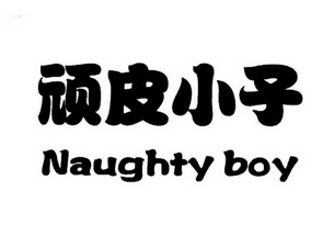 顽皮小子 naughty boy                      