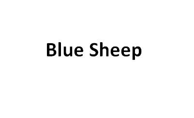  em>blue /em>  em>sheep /em>