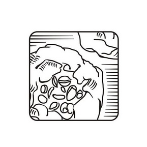 商标详情申请人:上海白沙溪茶业有限公司 办理/代理机构:上海邦德知识