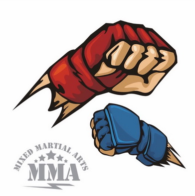 mma mixed martial arts