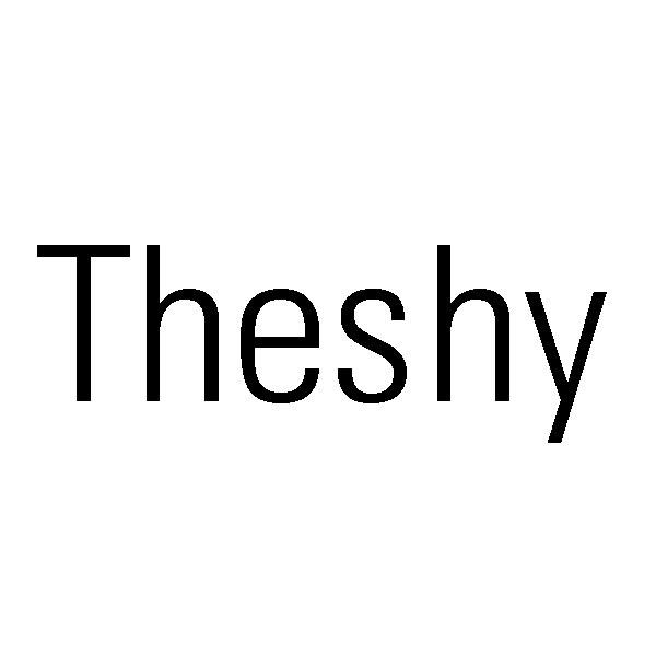 theshy签名图标图片