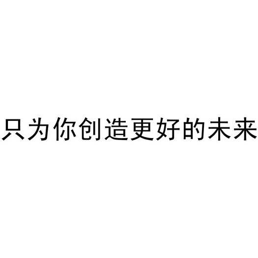 只为你创造更好的未来                      