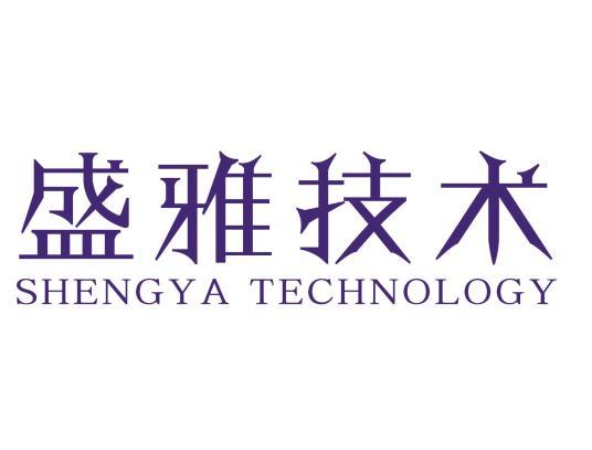 盛雅技术 shengya technology