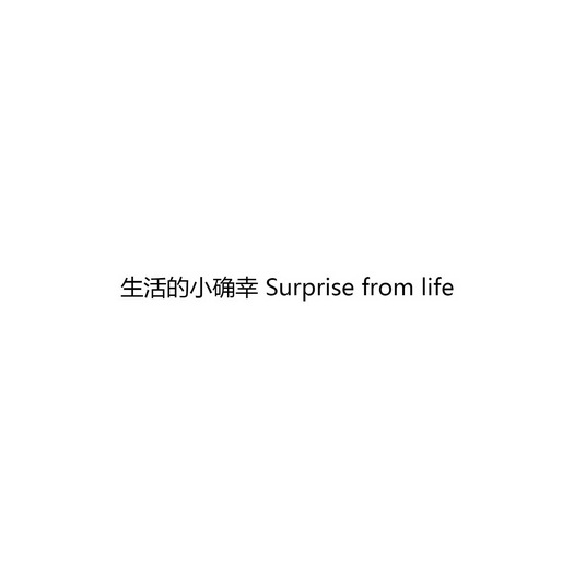 生活的小确幸 surprise from life 商标 爱企查