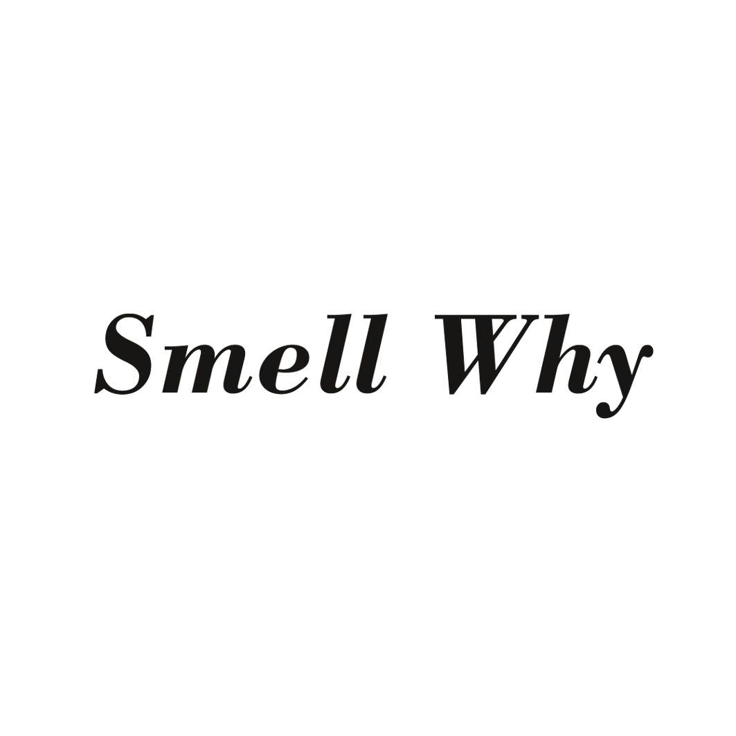 smell  em>why /em>